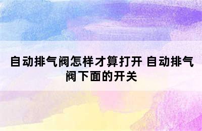 自动排气阀怎样才算打开 自动排气阀下面的开关